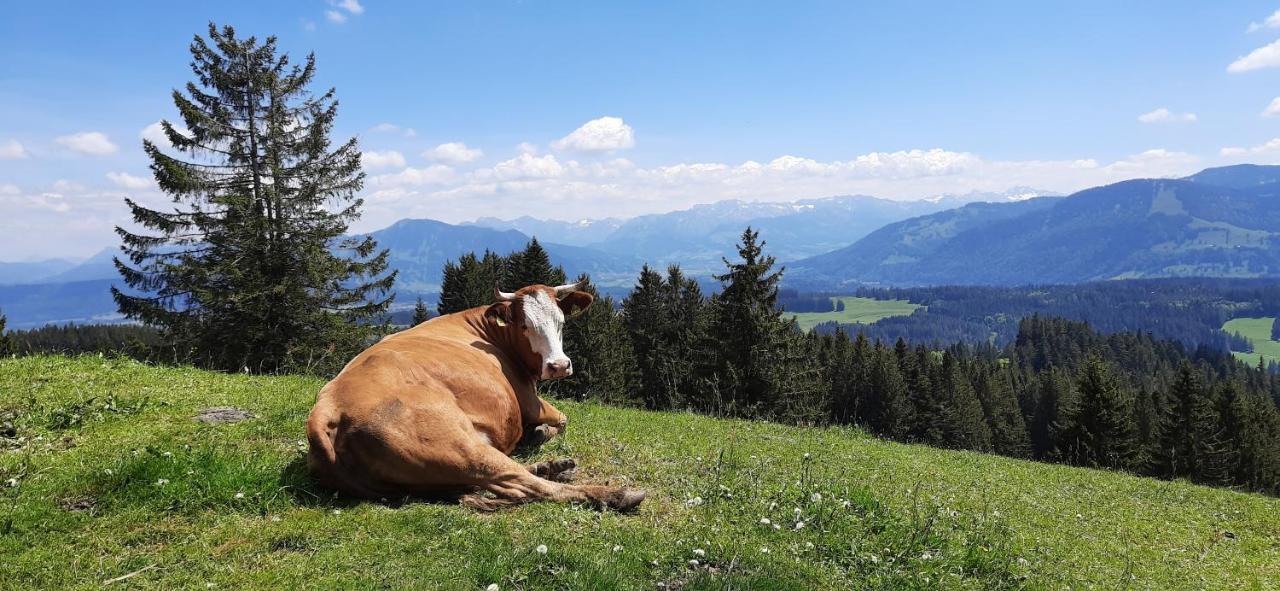 Ferienwohnung Boeck, Wengen Im Allgaeu Weitnau Buitenkant foto