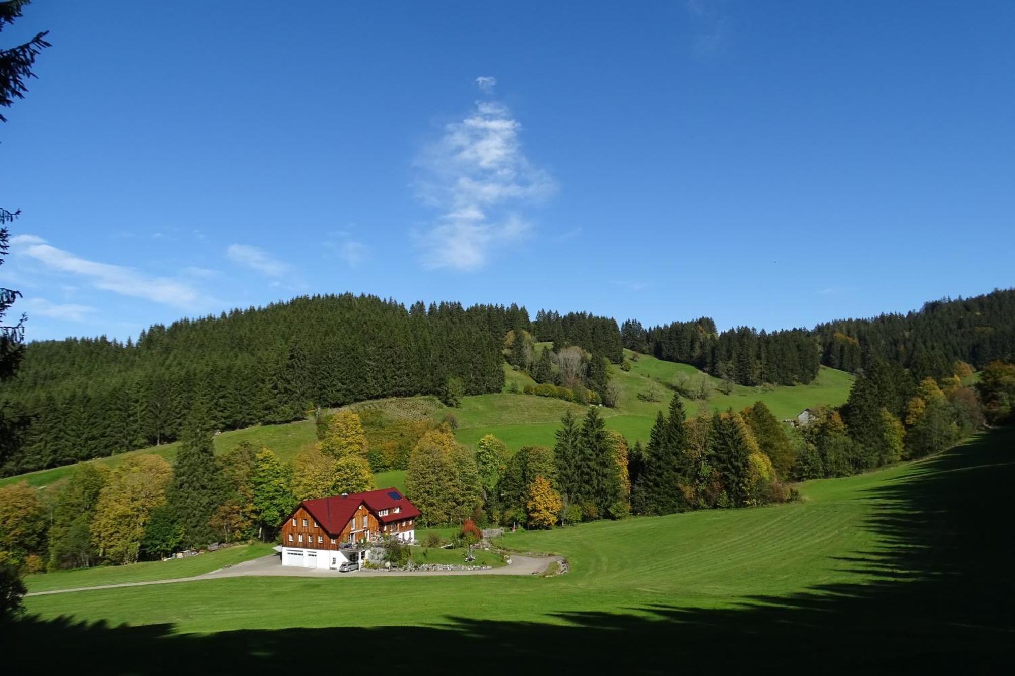 Ferienwohnung Boeck, Wengen Im Allgaeu Weitnau Buitenkant foto
